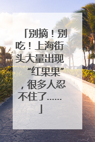 别摘！别吃！上海街头大量出现“红果果”，很多人忍不住了……